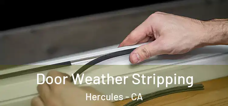  Door Weather Stripping Hercules - CA