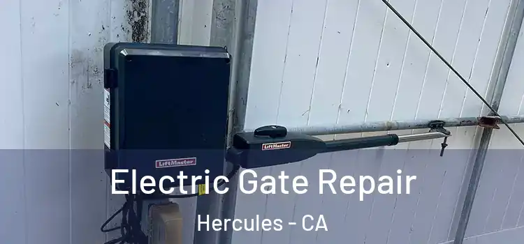  Electric Gate Repair Hercules - CA