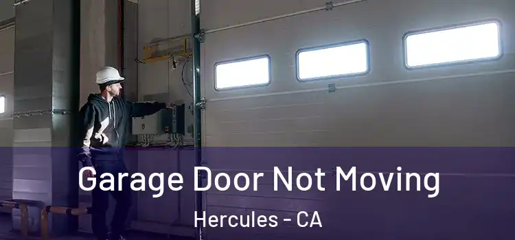  Garage Door Not Moving Hercules - CA