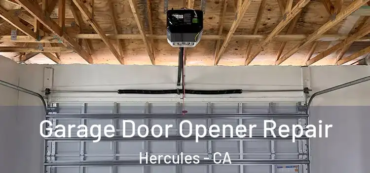  Garage Door Opener Repair Hercules - CA