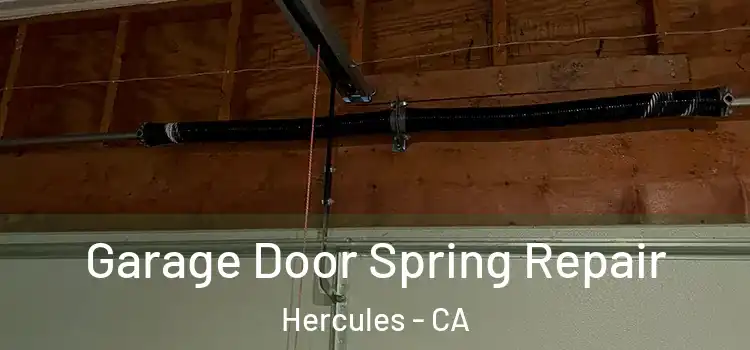  Garage Door Spring Repair Hercules - CA