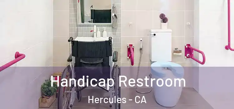 Handicap Restroom Hercules - CA