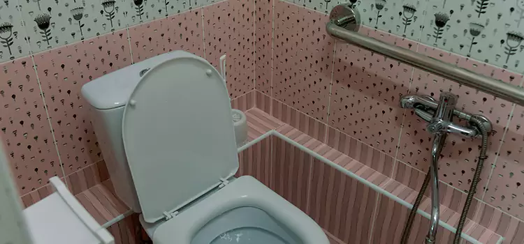 Meeting Diverse Needs With Accessible Restroom Solutions in Hercules, CA
