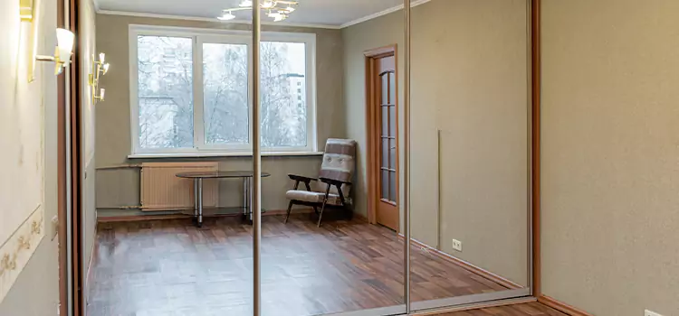 Mirror Closet Door Roller Replacement Hercules