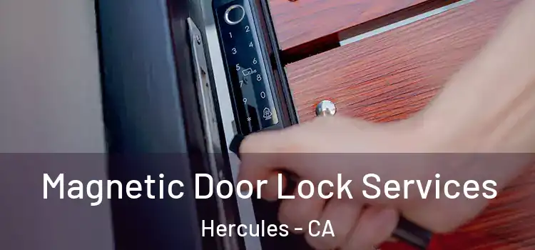 Magnetic Door Lock Services Hercules - CA