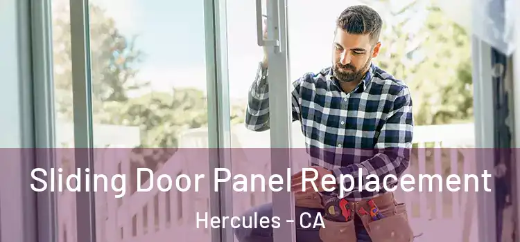  Sliding Door Panel Replacement Hercules - CA